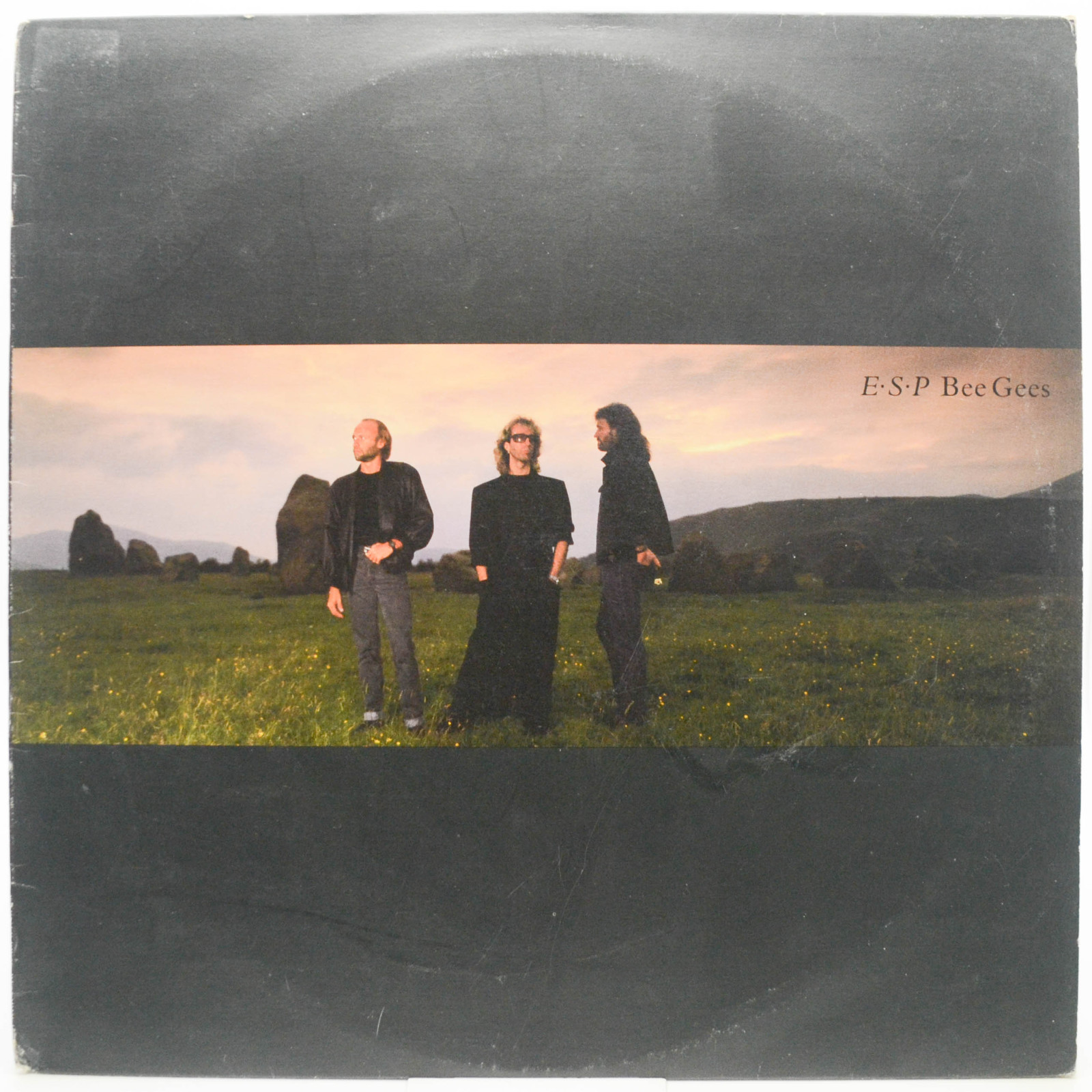 Bee Gees — E-S-P, 1987