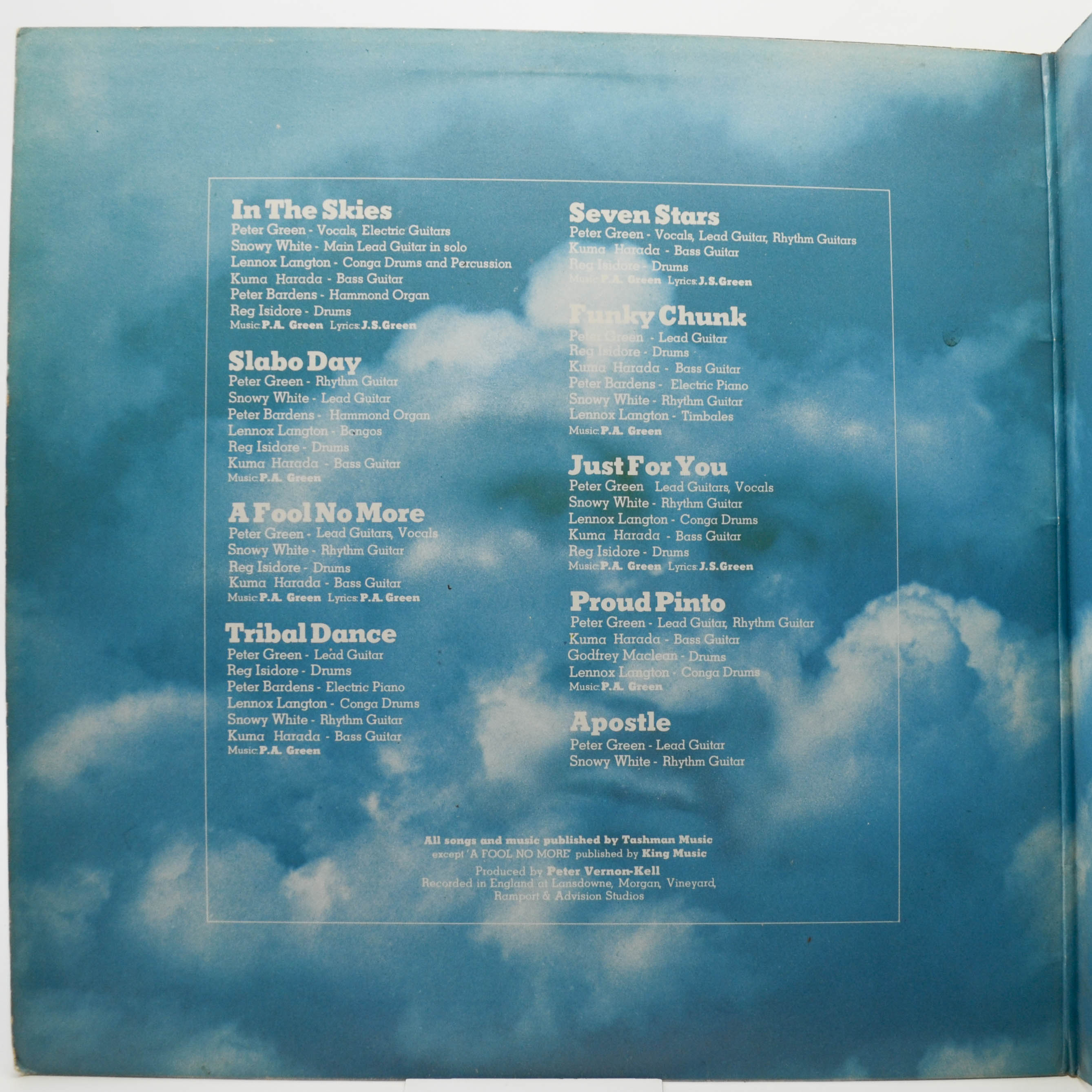 Peter Green — In The Skies, 1979