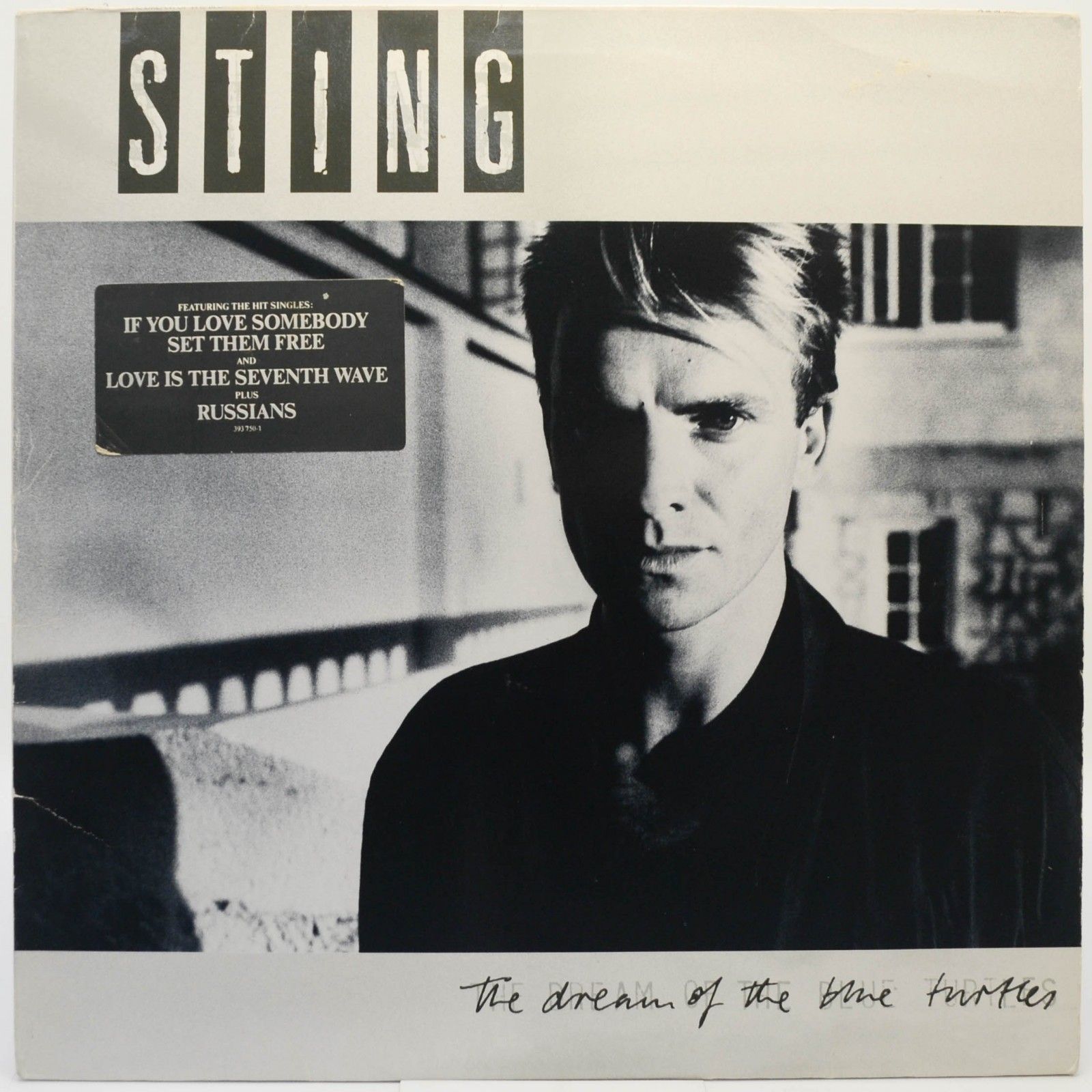 Sting The Dream Of The Blue Turtles, 2780 ₽ купить виниловую пластинку с доставкой Sting The Dream Of The Blue Turtles, 2780 ₽ купить виниловую пластинку с доставкой