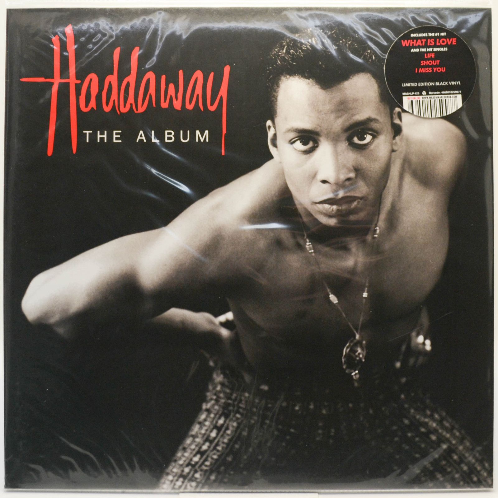 Haddaway — The Album, 1993