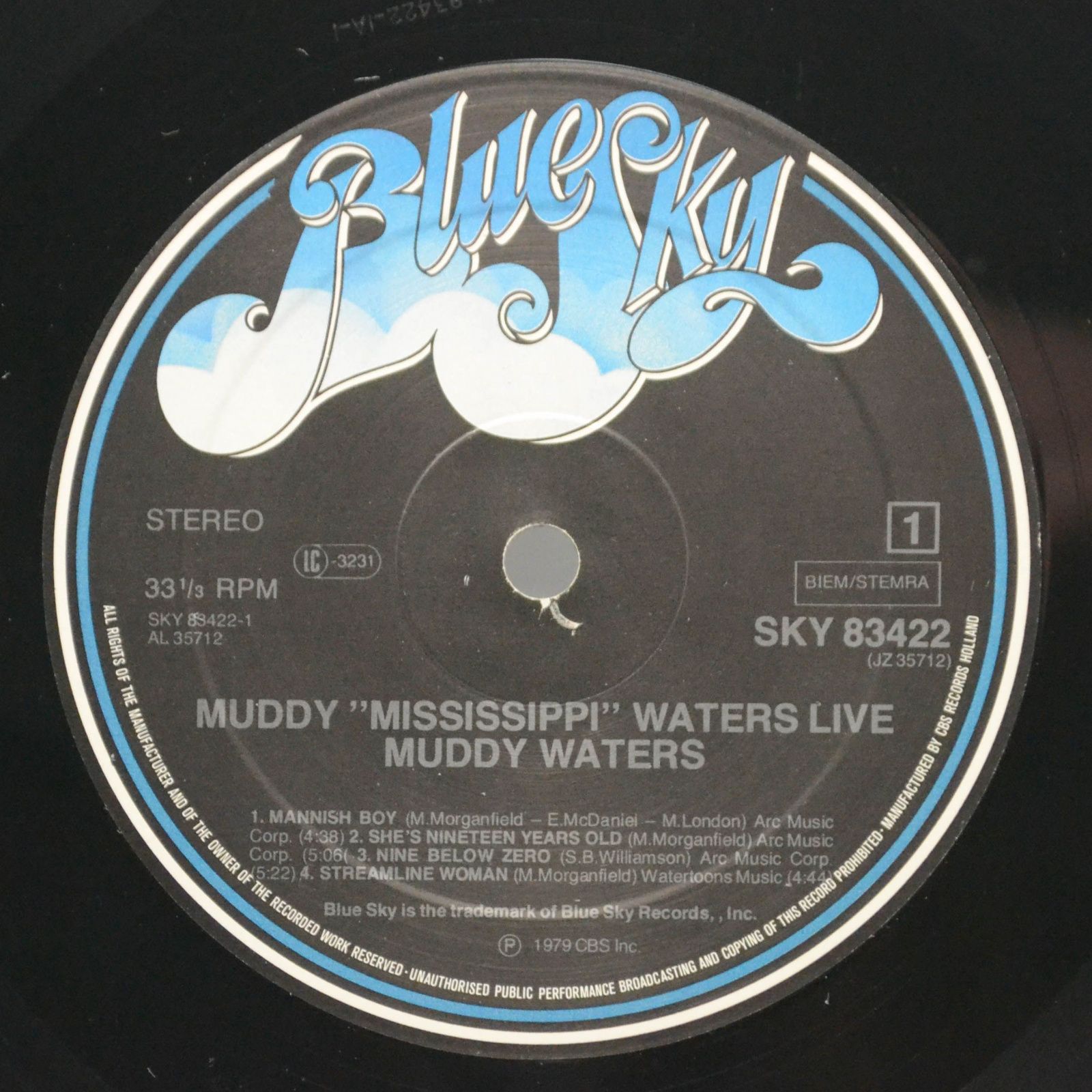Muddy Waters — Muddy "Mississippi" Waters Live, 1979