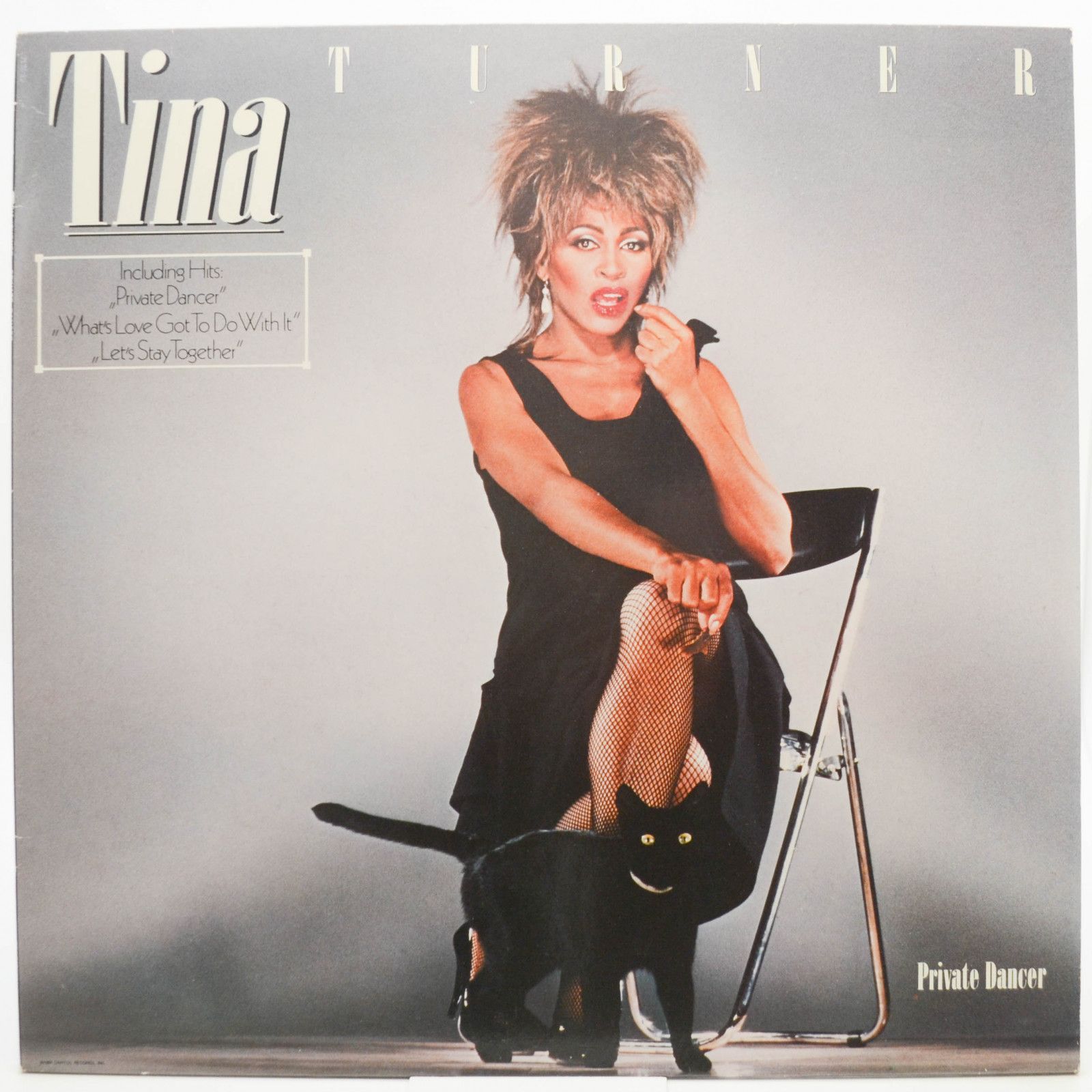 Tina Turner — Private Dancer, 1984