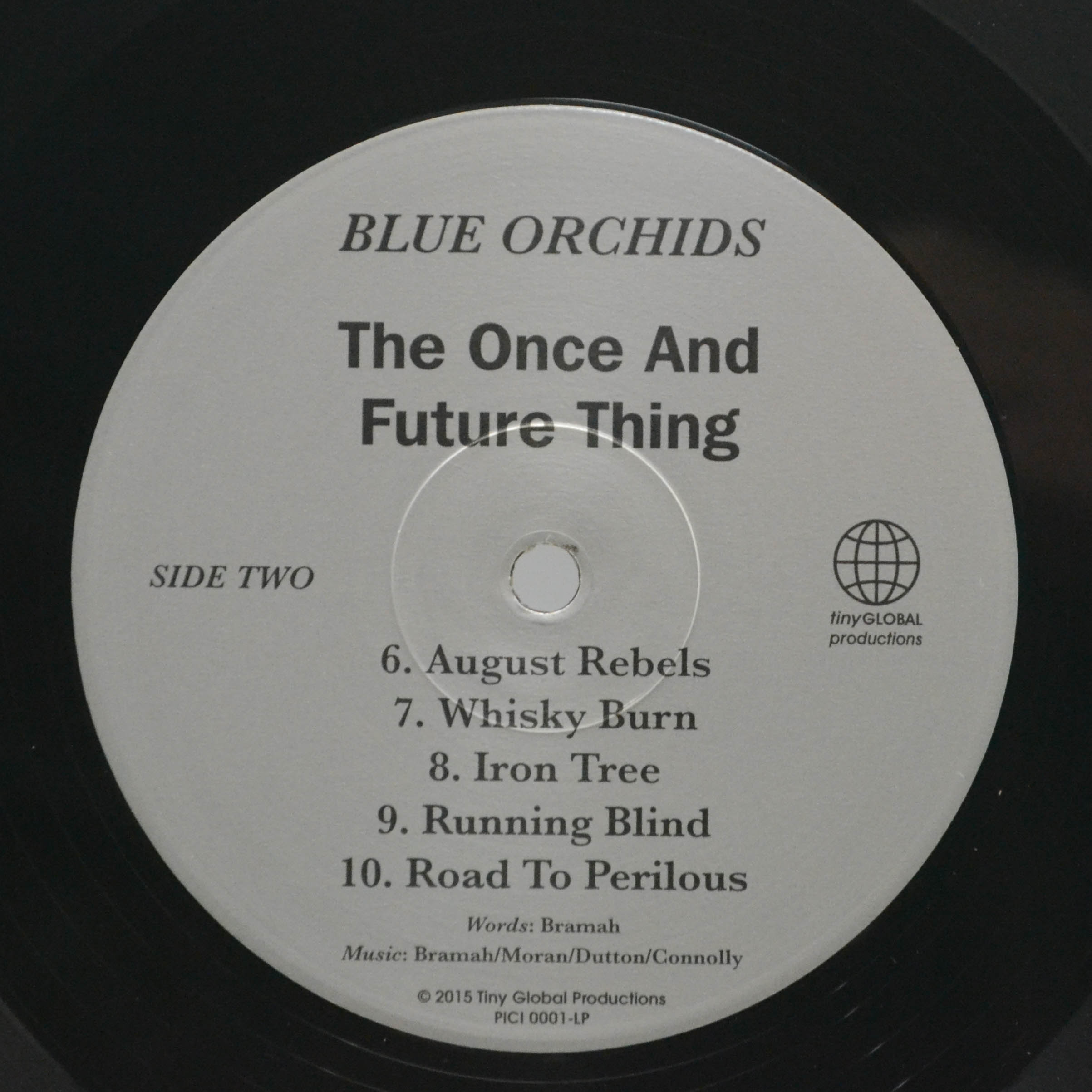 Виниловая пластинка Blue Orchids — The Once And Future Thing (UK), 2015