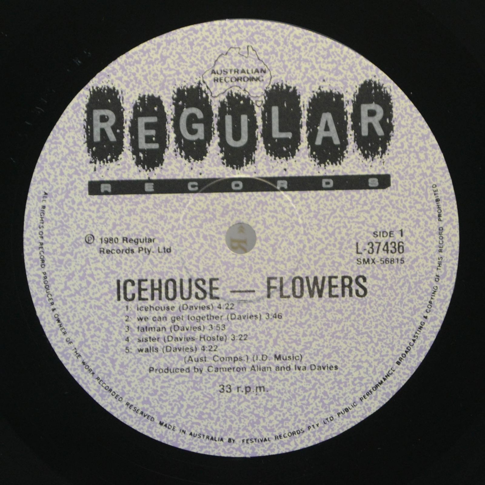 Flowers — Icehouse, 1980