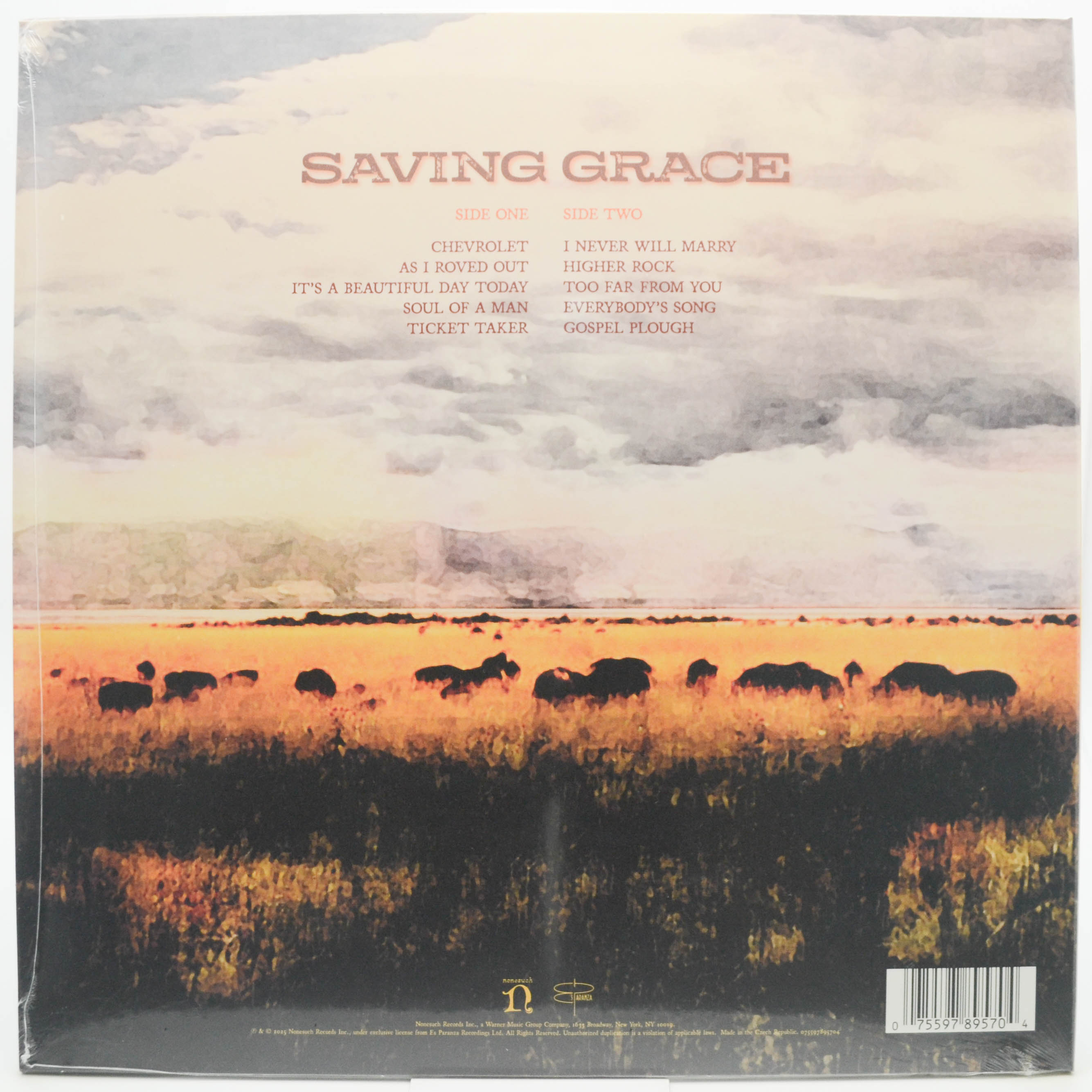 Robert Plant With Suzi Dian — Saving Grace, 2025