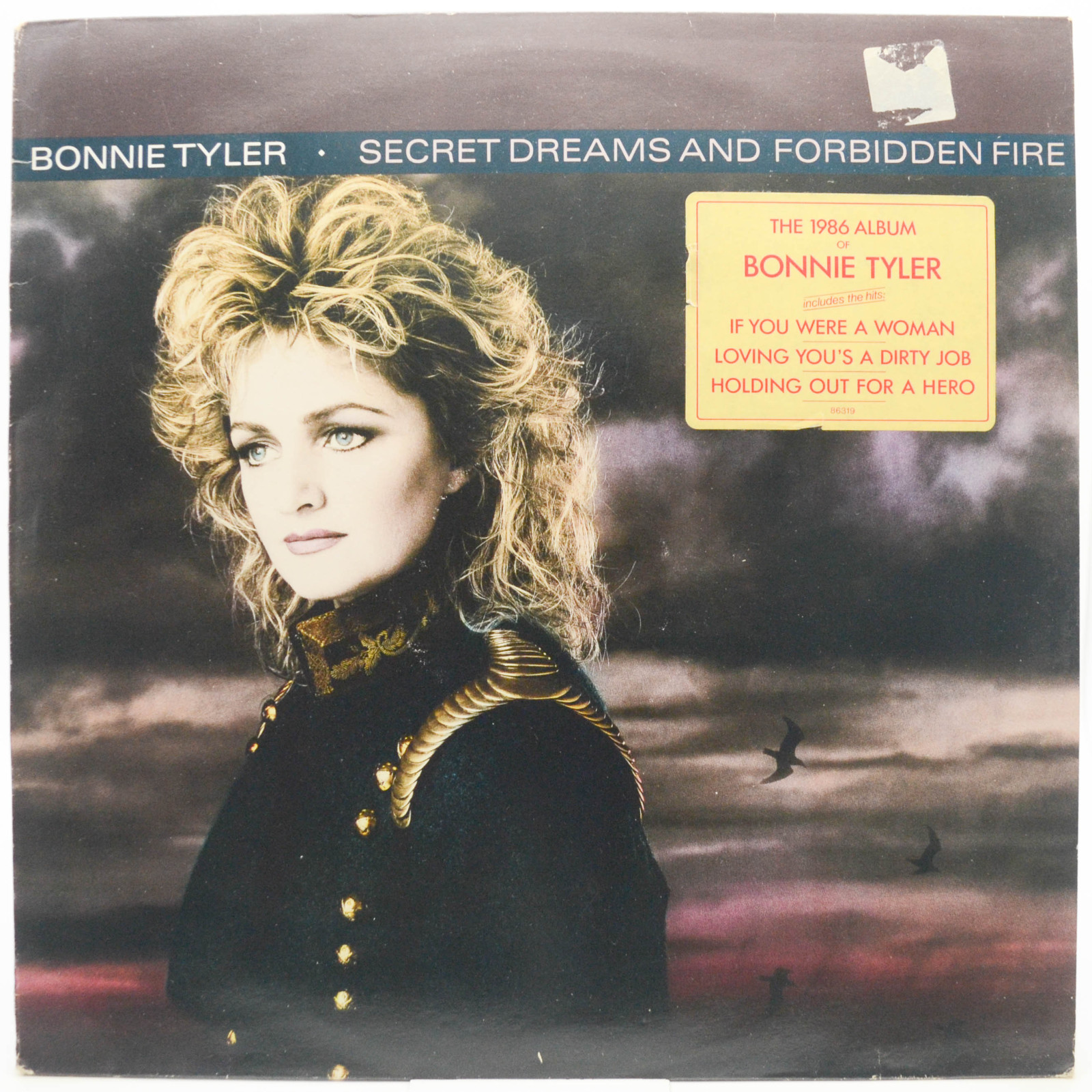 Bonnie Tyler — Secret Dreams And Forbidden Fire, 1986