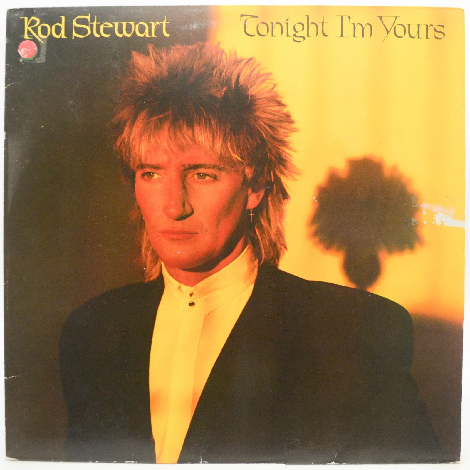 Rod Stewart — Tonight I'm Yours, 1981