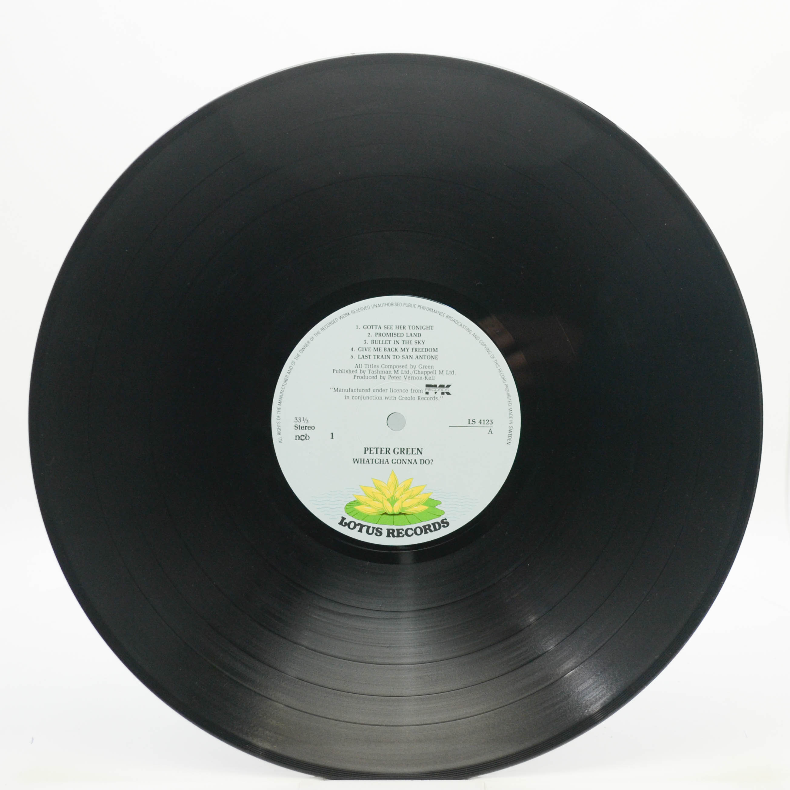 Peter Green — Whatcha Gonna Do?, 1981