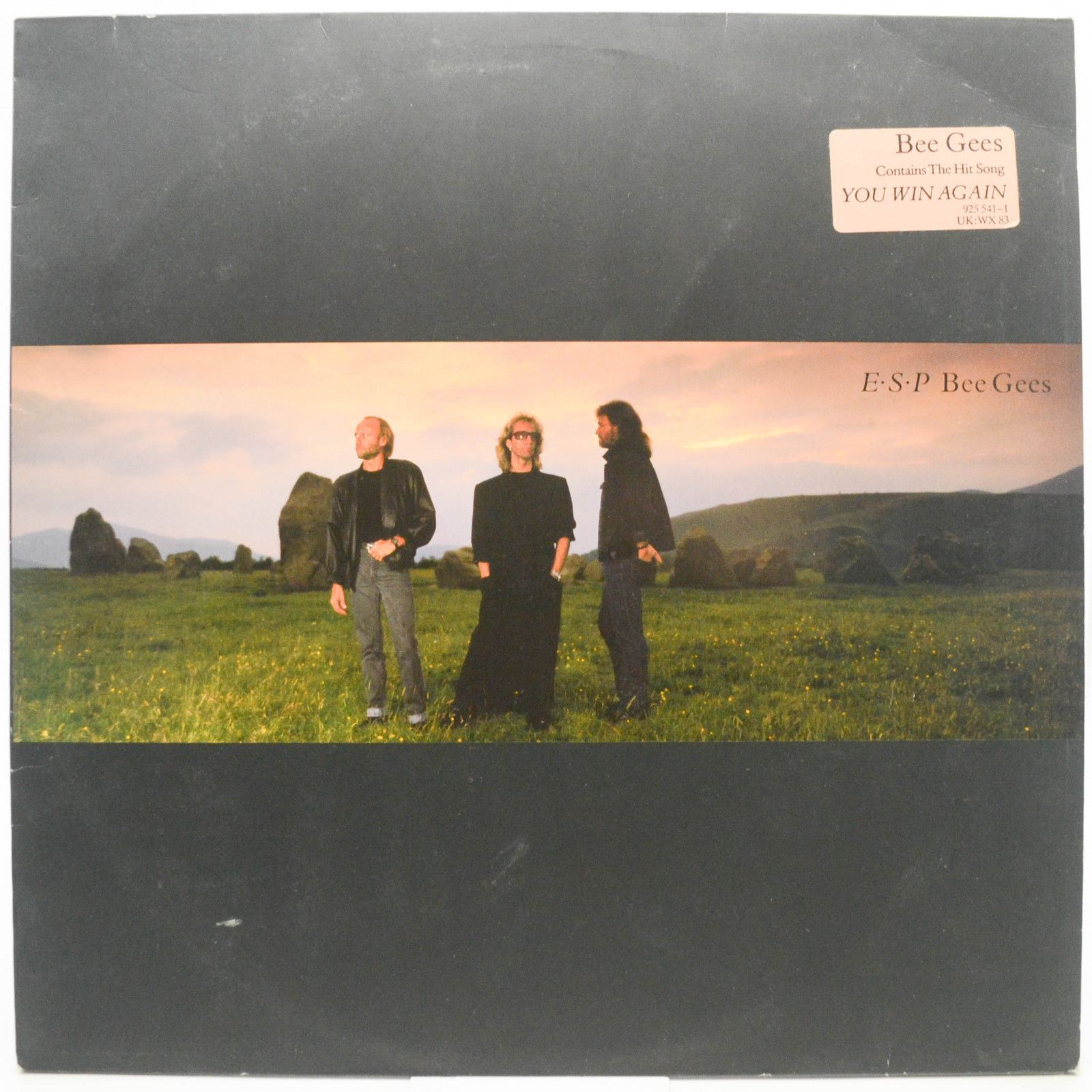 Bee Gees — E·S·P, 1987