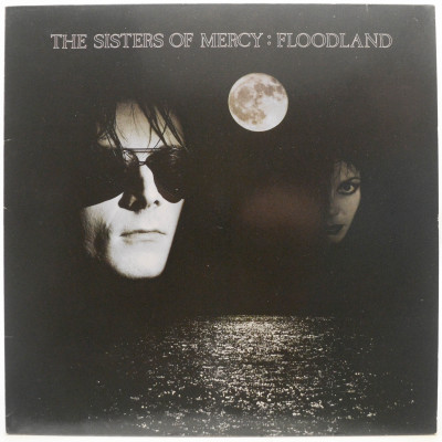 Виниловая пластинка Floodland, 1987