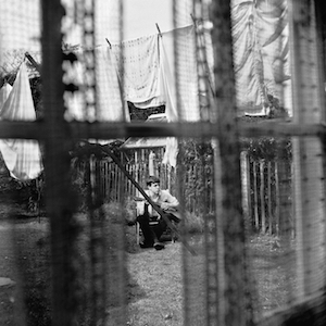 Chaos And Creation In The Backyard