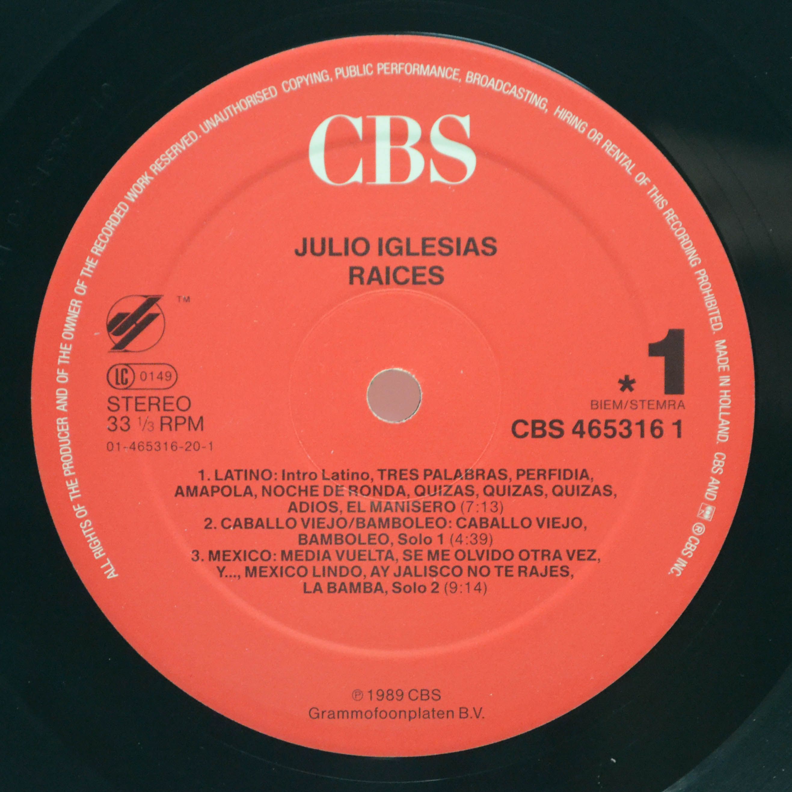 Julio Iglesias — Raices, 1989