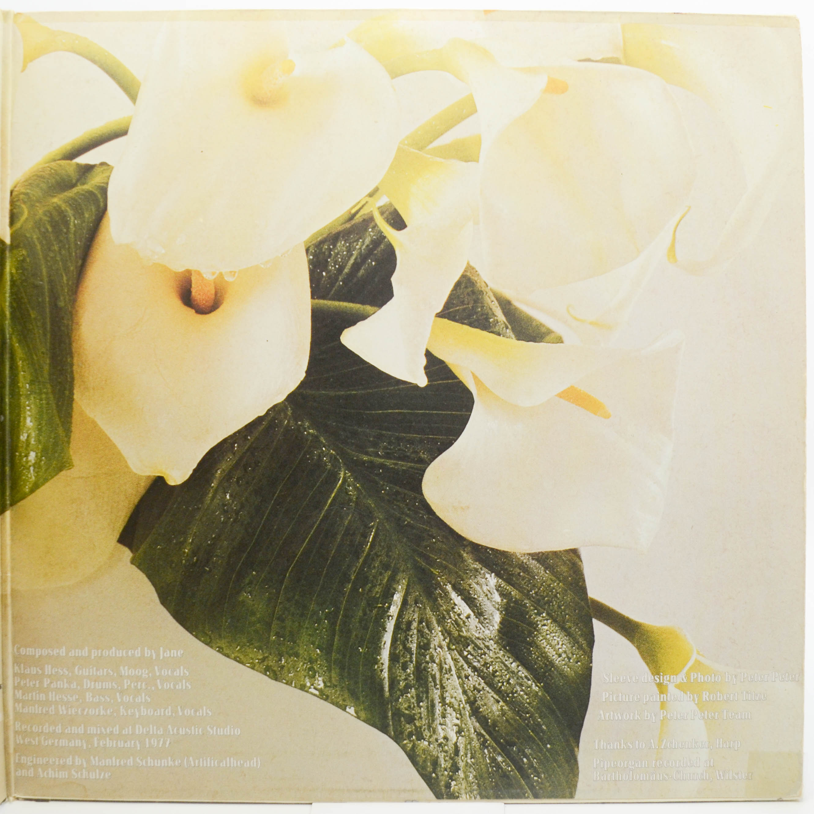 Виниловая пластинка Jane — Between Heaven And Hell, 1977