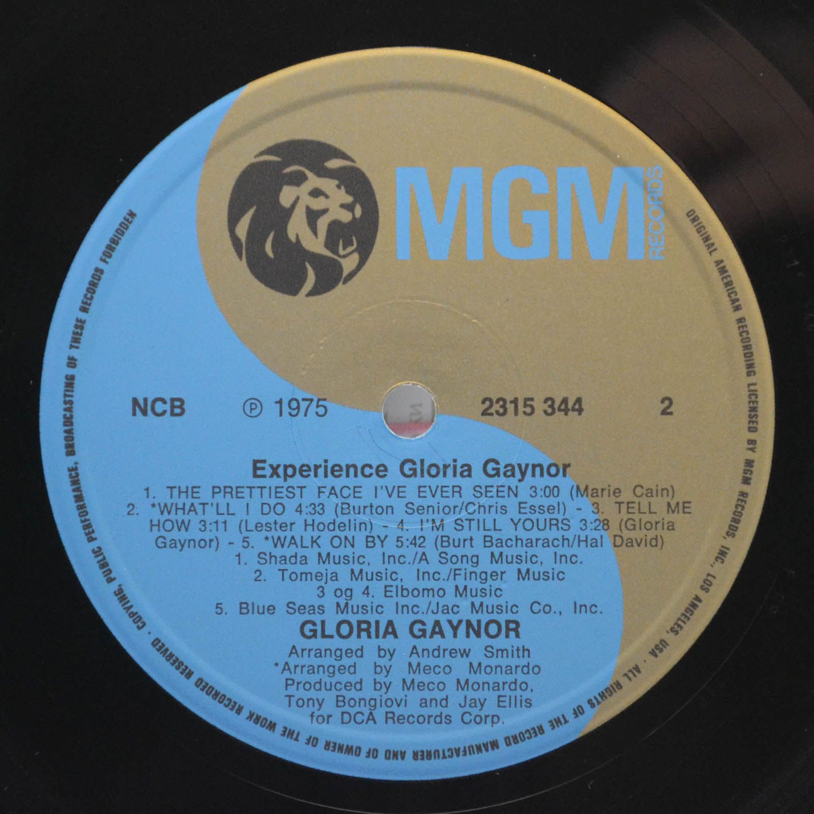 Gloria Gaynor — Experience, 1975