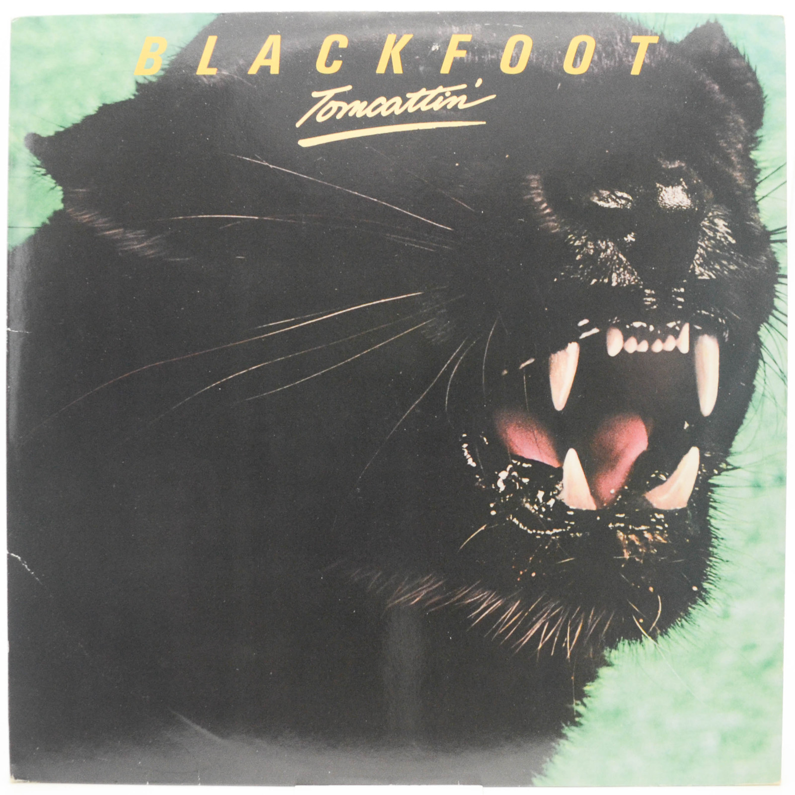 Blackfoot — Tomcattin', 1980