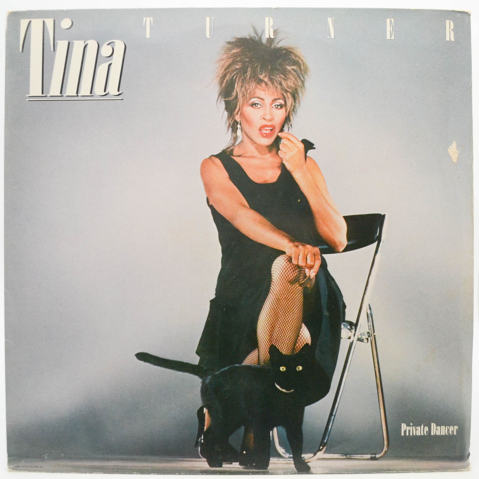 Tina Turner — Private Dancer, 1984