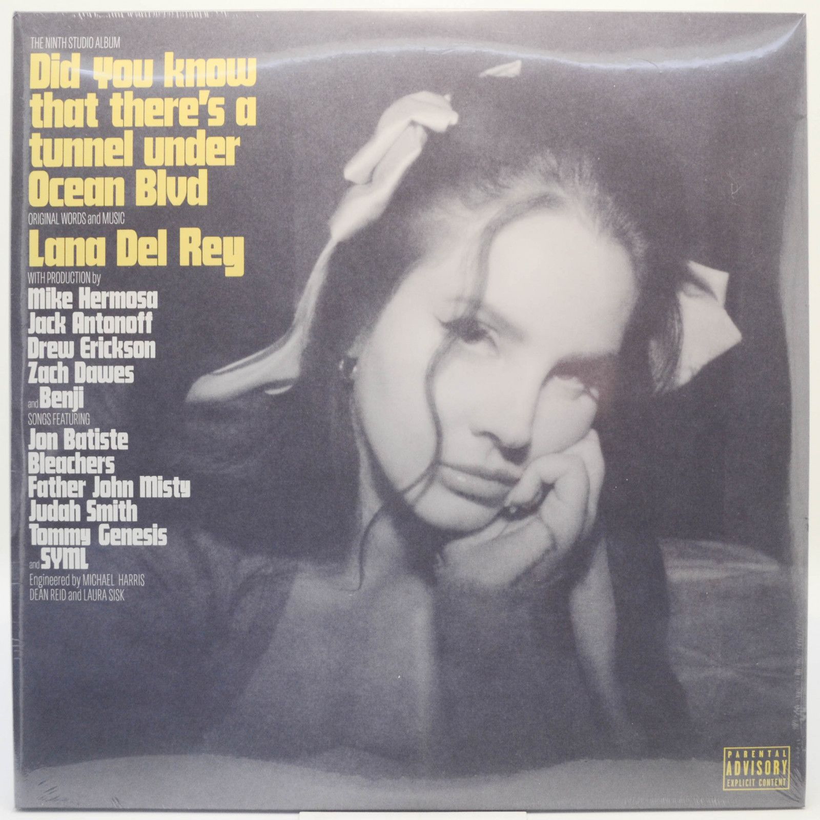 Lana Del Rey — Did You Know That There's A Tunnel Under Ocean Blvd (2LP), 2023