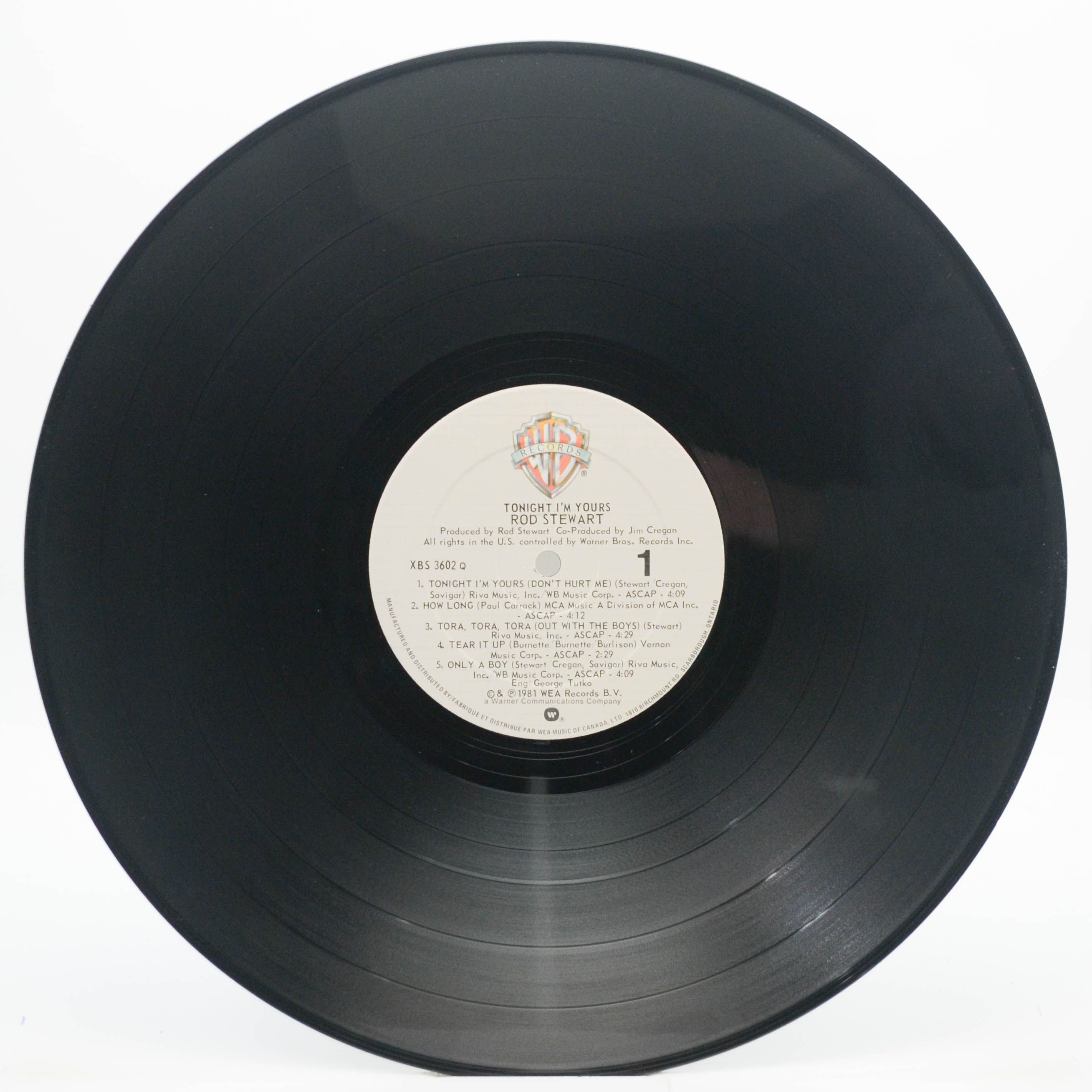 Rod Stewart — Tonight I'm Yours, 1981